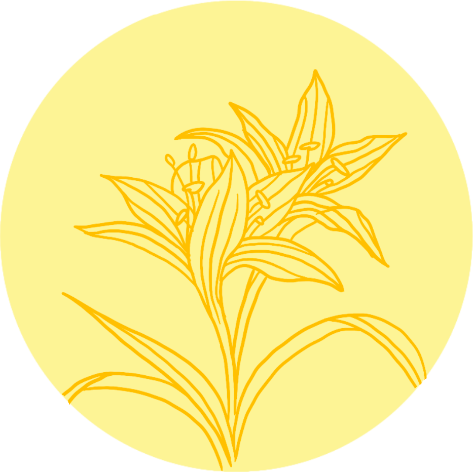 Colchique 2 Marjolaine Logo sunfeminasum olfaction conte olfactif odeur féminité logo