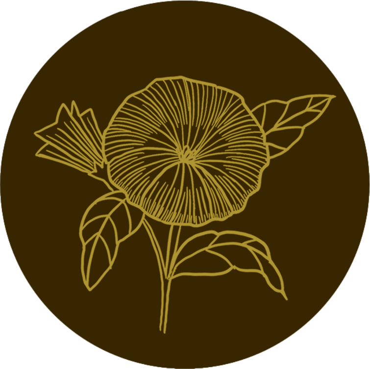 Liseron Marjolaine Logo sunfeminasum olfaction conte olfactif odeur féminité logo