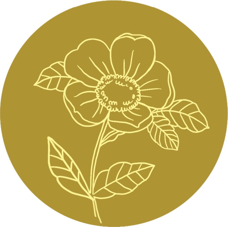 Marjolaine Logo sunfeminasum olfaction conte olfactif odeur féminité logo fleur 1